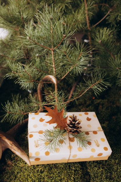 Wooly Organic Gift Box