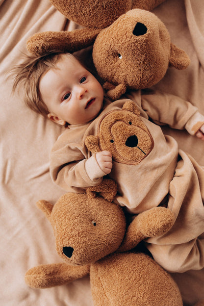 Wooly Organic Soft Toy - Teddy