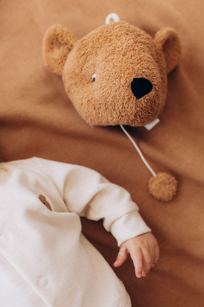 Wooly Organic Music Box - Teddy