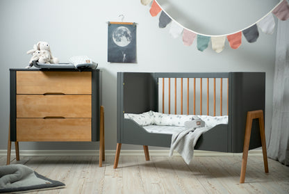 Dresser Torsten Seal Grey/Teak Collection with Changing Top